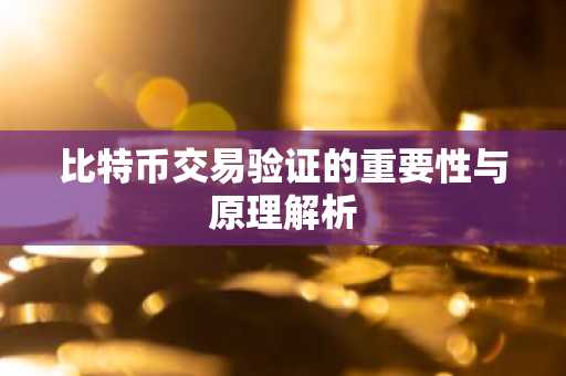 比特币交易验证的重要性与原理解析