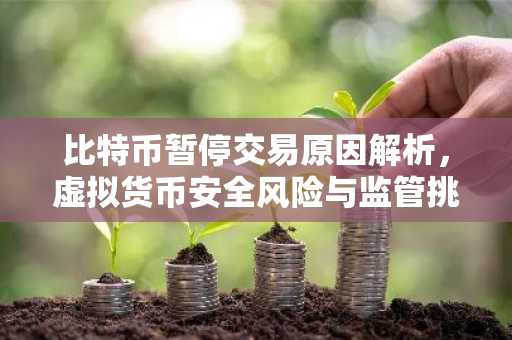 比特币暂停交易原因解析，虚拟货币安全风险与监管挑战