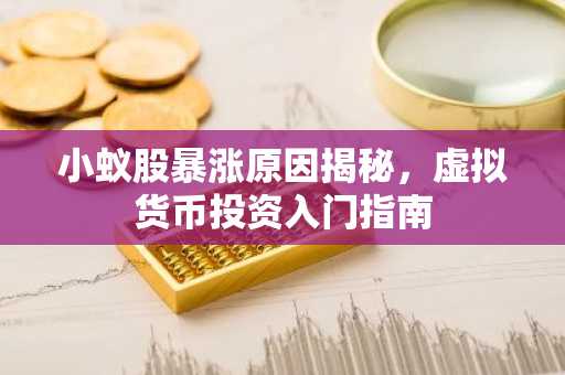 小蚁股暴涨原因揭秘，虚拟货币投资入门指南