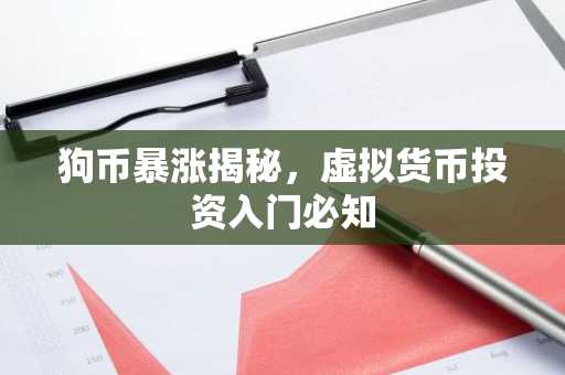 狗币暴涨揭秘，虚拟货币投资入门必知