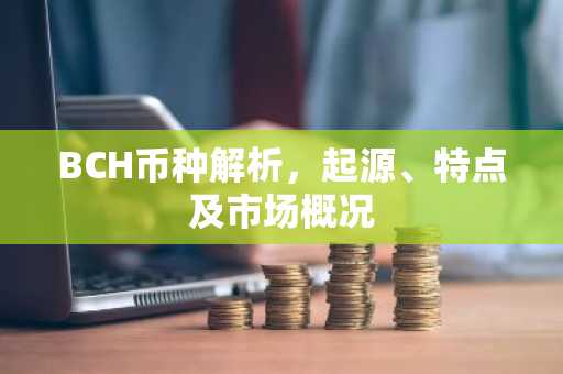 BCH币种解析，起源、特点及市场概况