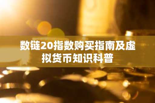 数链20指数购买指南及虚拟货币知识科普