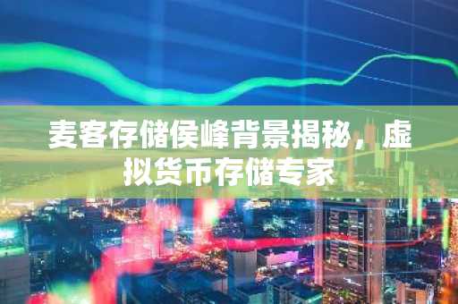 麦客存储侯峰背景揭秘，虚拟货币存储专家