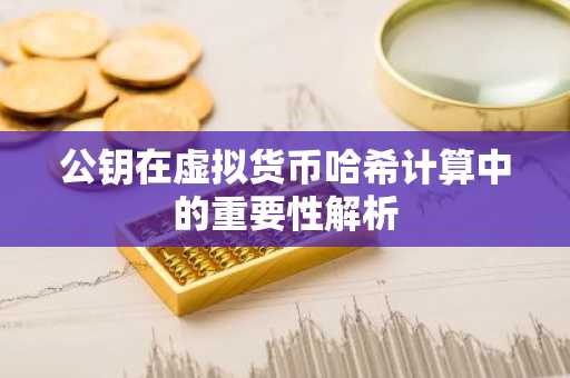 公钥在虚拟货币哈希计算中的重要性解析