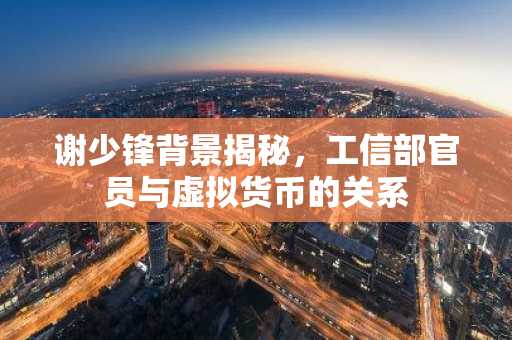 谢少锋背景揭秘，工信部官员与虚拟货币的关系