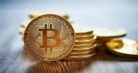 babydog币未来价值_babydog币最新消息价格