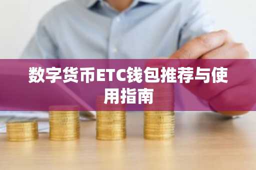 数字货币ETC钱包推荐与使用指南