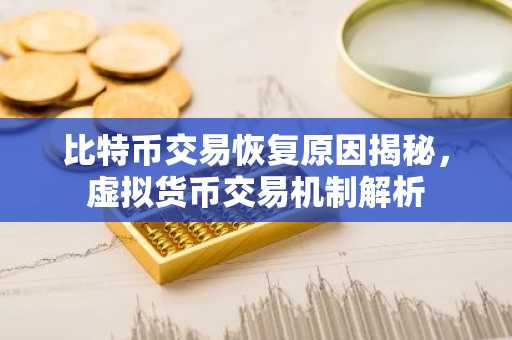 比特币交易恢复原因揭秘，虚拟货币交易机制解析