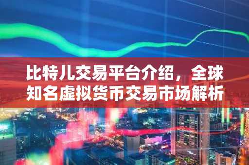 比特儿交易平台介绍，全球知名虚拟货币交易市场解析