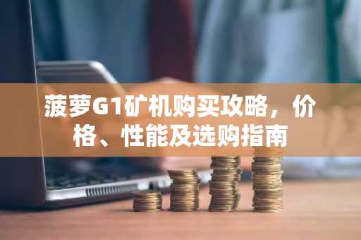 菠萝G1矿机购买攻略，价格、性能及选购指南
