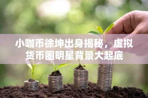 小咖币徐坤出身揭秘，虚拟货币圈明星背景大起底