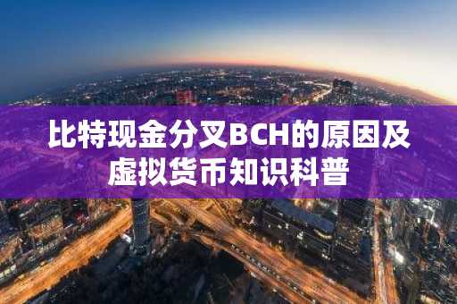 比特现金分叉BCH的原因及虚拟货币知识科普