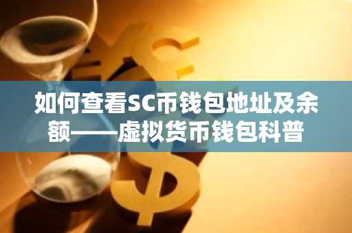 如何查看SC币钱包地址及余额——虚拟货币钱包科普