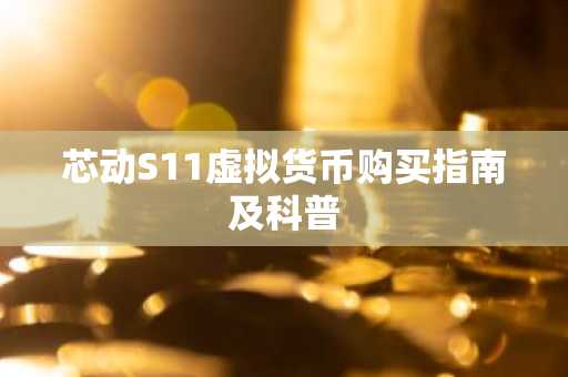 芯动S11虚拟货币购买指南及科普