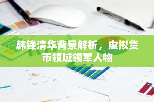 韩锋清华背景解析，虚拟货币领域领军人物