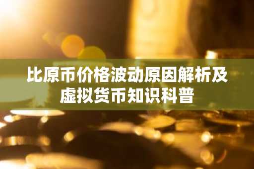 比原币价格波动原因解析及虚拟货币知识科普