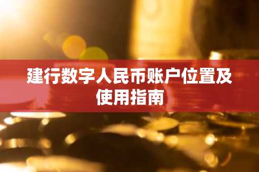 建行数字人民币账户位置及使用指南