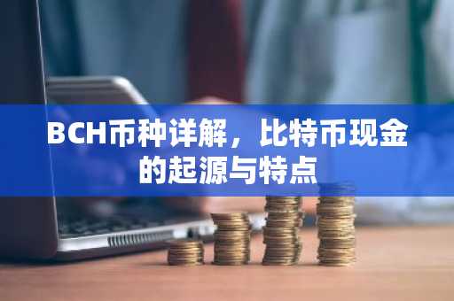 BCH币种详解，比特币现金的起源与特点