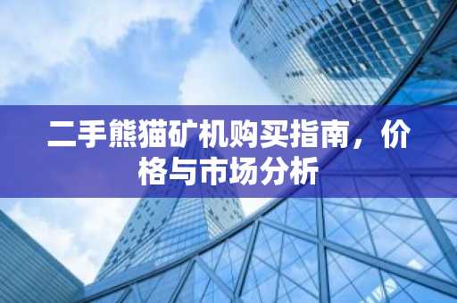 二手熊猫矿机购买指南，价格与市场分析