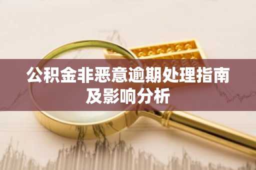 公积金非恶意逾期处理指南及影响分析