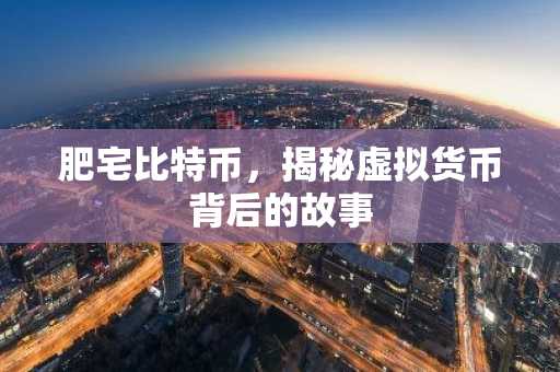 肥宅比特币，揭秘虚拟货币背后的故事
