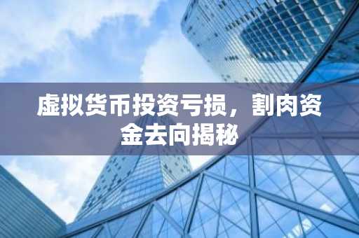 虚拟货币投资亏损，割肉资金去向揭秘