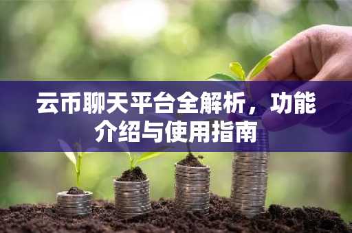 云币聊天平台全解析，功能介绍与使用指南