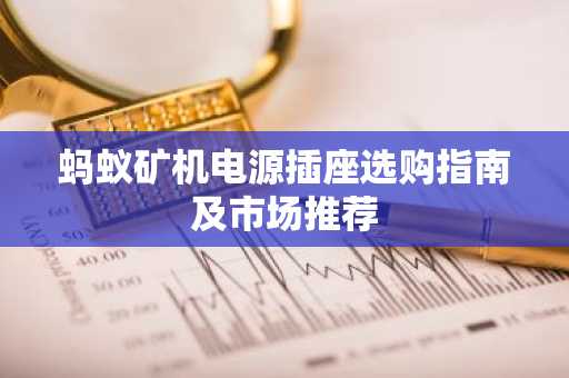 蚂蚁矿机电源插座选购指南及市场推荐