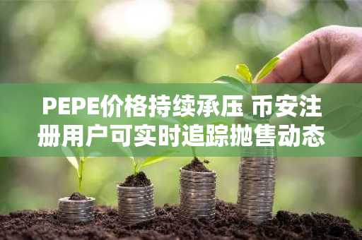 PEPE价格持续承压 币安注册用户可实时追踪抛售动态