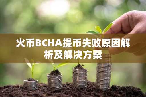 火币BCHA提币失败原因解析及解决方案