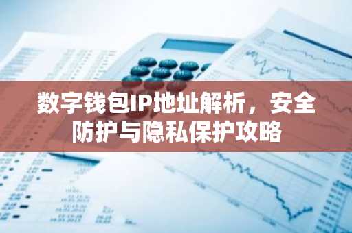 数字钱包IP地址解析，安全防护与隐私保护攻略