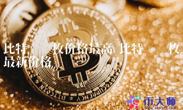 比特币单枚价格最高