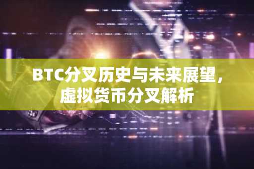 BTC分叉历史与未来展望，虚拟货币分叉解析