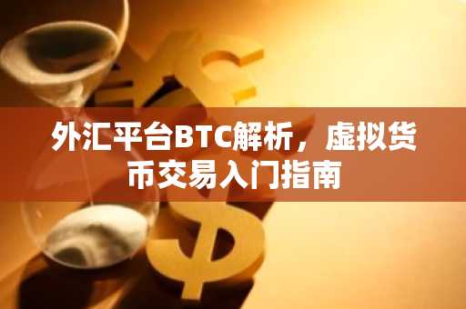 外汇平台BTC解析，虚拟货币交易入门指南