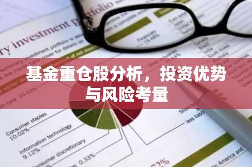 基金重仓股分析，投资优势与风险考量