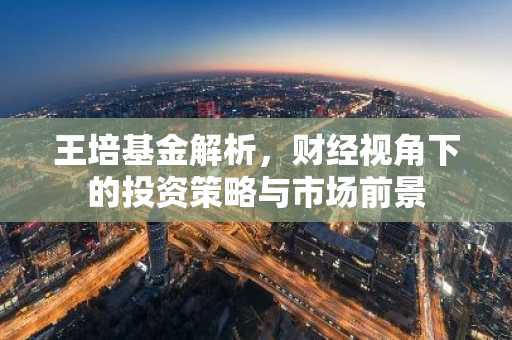 王培基金解析，财经视角下的投资策略与市场前景