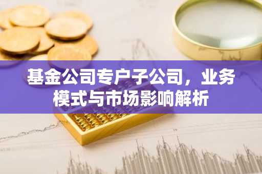 基金公司专户子公司，业务模式与市场影响解析