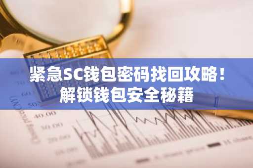 紧急SC钱包密码找回攻略！解锁钱包安全秘籍