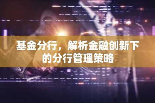 基金分行，解析金融创新下的分行管理策略