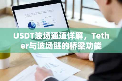 USDT波场通道详解，Tether与波场链的桥梁功能