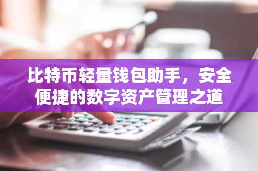 比特币轻量钱包助手，安全便捷的数字资产管理之道