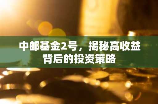 中邮基金2号，揭秘高收益背后的投资策略