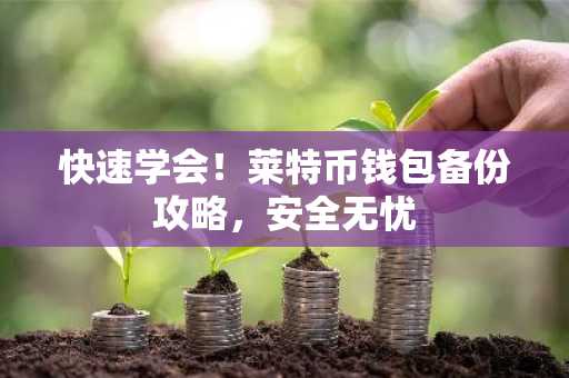 快速学会！莱特币钱包备份攻略，安全无忧