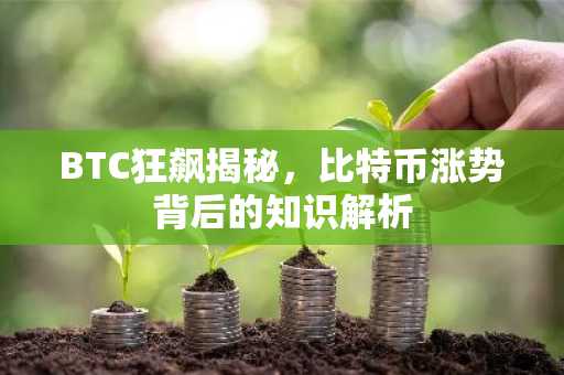 BTC狂飙揭秘，比特币涨势背后的知识解析