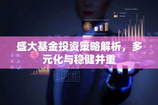 盛大基金投资策略解析，多元化与稳健并重