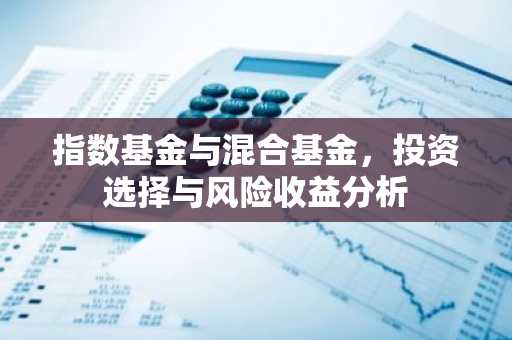 指数基金与混合基金，投资选择与风险收益分析