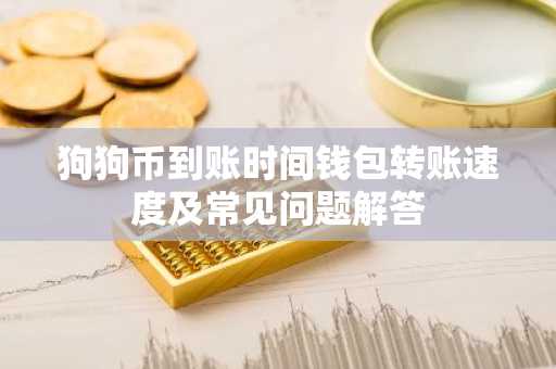 狗狗币到账时间钱包转账速度及常见问题解答