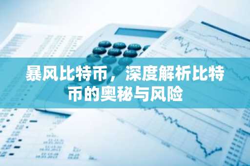暴风比特币，深度解析比特币的奥秘与风险