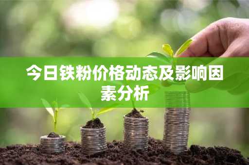 今日铁粉价格动态及影响因素分析