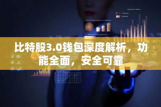 比特股3.0钱包深度解析，功能全面，安全可靠